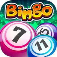 Bingo icon