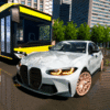 Driving School Simulator: EVO icon