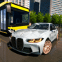 Driving School Simulator: EVO icon
