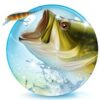 Let’s Fish: Sport Fishing Game icon