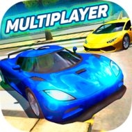 Multiplayer Driving Simulator
