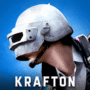 NEW STATE Mobile icon