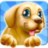 Pet Run icon