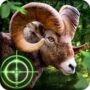 Wild Hunter 3D icon